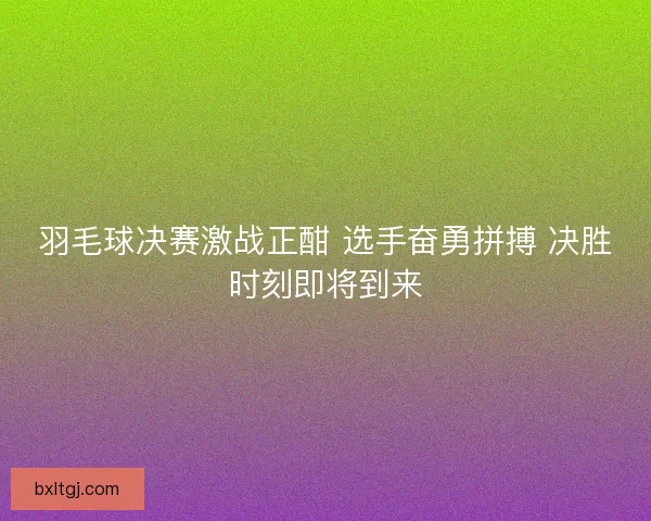 羽毛球决赛激战正酣 选手奋勇拼搏 决胜时刻即将到来